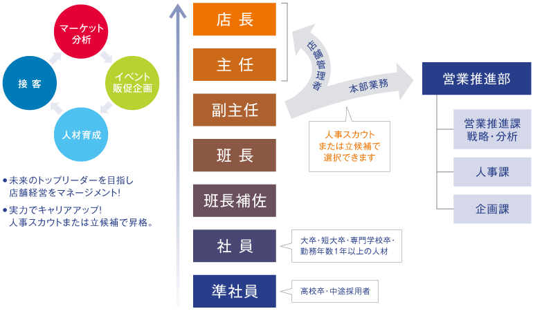 未来のトップリーダーを目指し店舗経営をマネージメント！実力でキャリアアップ！人事スカウトまたは立候補で昇格ができます。
山田商事の業務内容は大きく分けて次の4つの要素に分かれます。マーケット分析・イベント販促企画・人材育成・接客。これらの能力を仕事を通じて磨いて行くことで、キャリアアップが行えます。キャリアアップの流れは準社員（高校卒・中途採用者）から社員（大卒・短大卒・専門学校卒・勤務年数１年以上の人材）、班長補佐から班長、そして副主任となります。副主任からは2つのルートに分かれます。1つは店舗管理者の主任・店長へのルート。もう1は営業推進部へ進み、営業推進課（戦略・分析）・人事課・企画課のいずれかに所属となります。